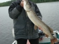 normal_Bob 40 Inch  Northern June 2012-e