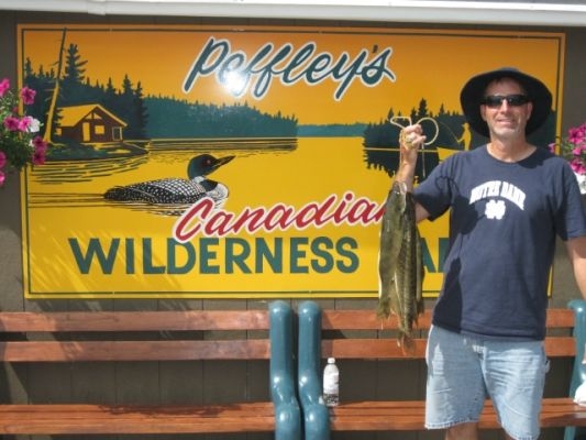 normal_Cellantani5-e