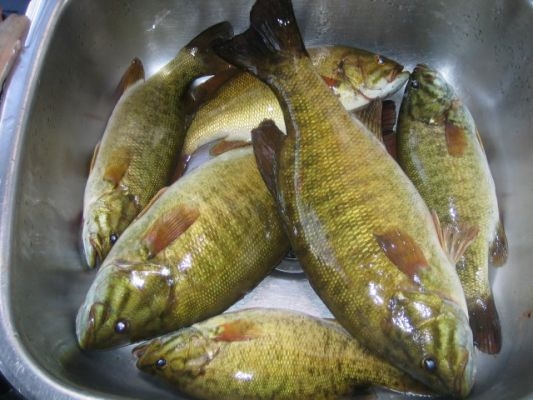 normal_Grady-2007 084-edited