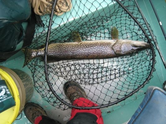 normal_Hinshaw-Voltz opening week 200958-edit