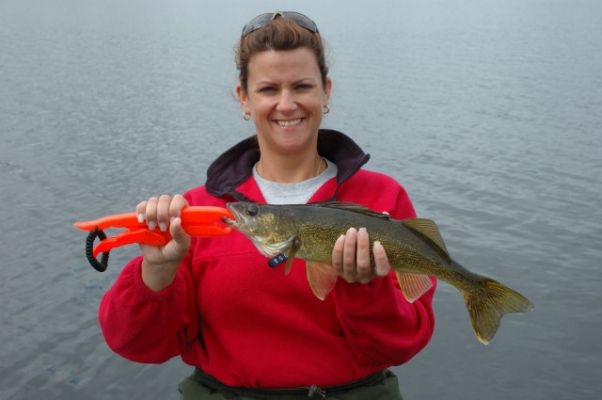 normal_Tippin2009_022~0