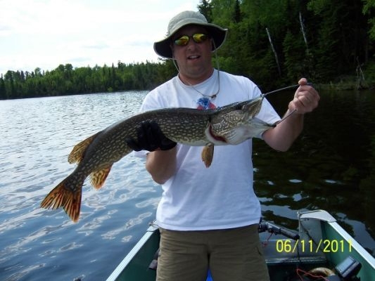 normal_Tonn pike