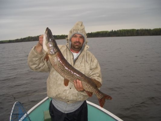 normal_VanHeesbeke-edit